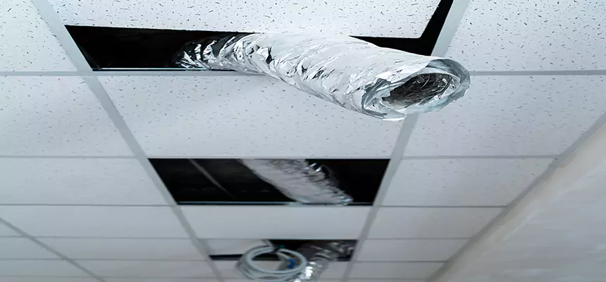 Affordable HVAC Sanitizing After Pest Removal in Marion