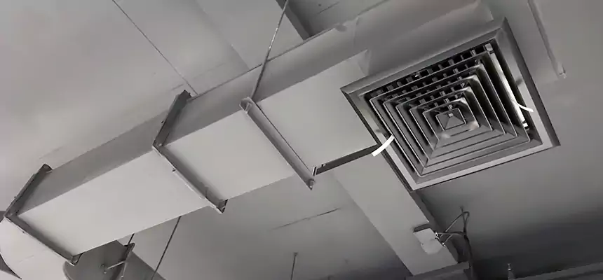 Restorative Allergy Relief Vent Cleaning – Coil, Blower & Housing Detail in Marion