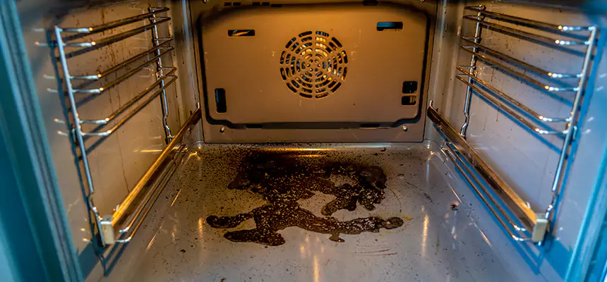 Our Dryer Vent Mold Cleaning Services in Marion, IL