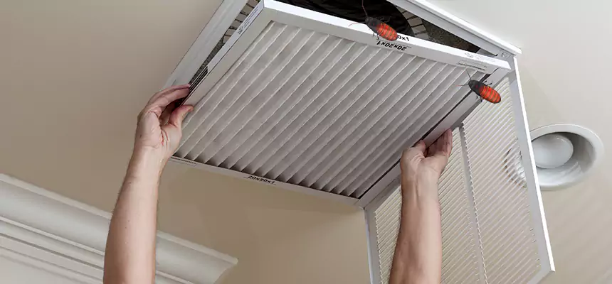 Our Insect Removal from Air Ducts Services in Marion, IL