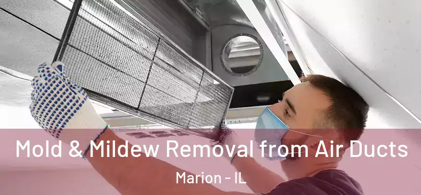  Mold & Mildew Removal from Air Ducts Marion - IL