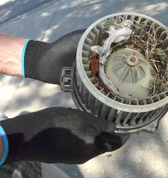 About Air Duct Rat Removal in Marion, IL