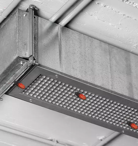 Affordable Insect Removal from Air Ducts in Marion, IL