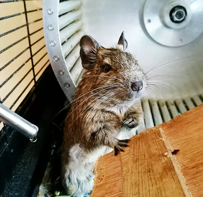 Why Homeowners & Businesses Trust Us Marion, IL?