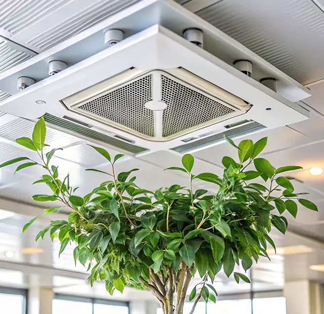 Why Homeowners & Businesses Trust Us in Marion, IL