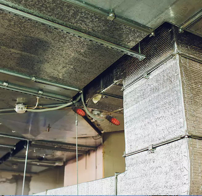 Why Homeowners & Businesses Trust Us Marion, IL?