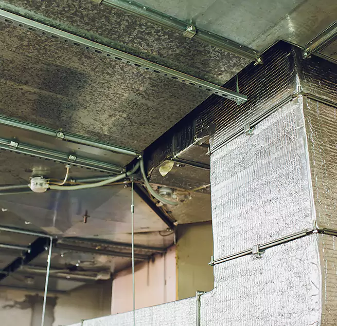 Why Homeowners & Businesses Trust Us in Marion, IL?